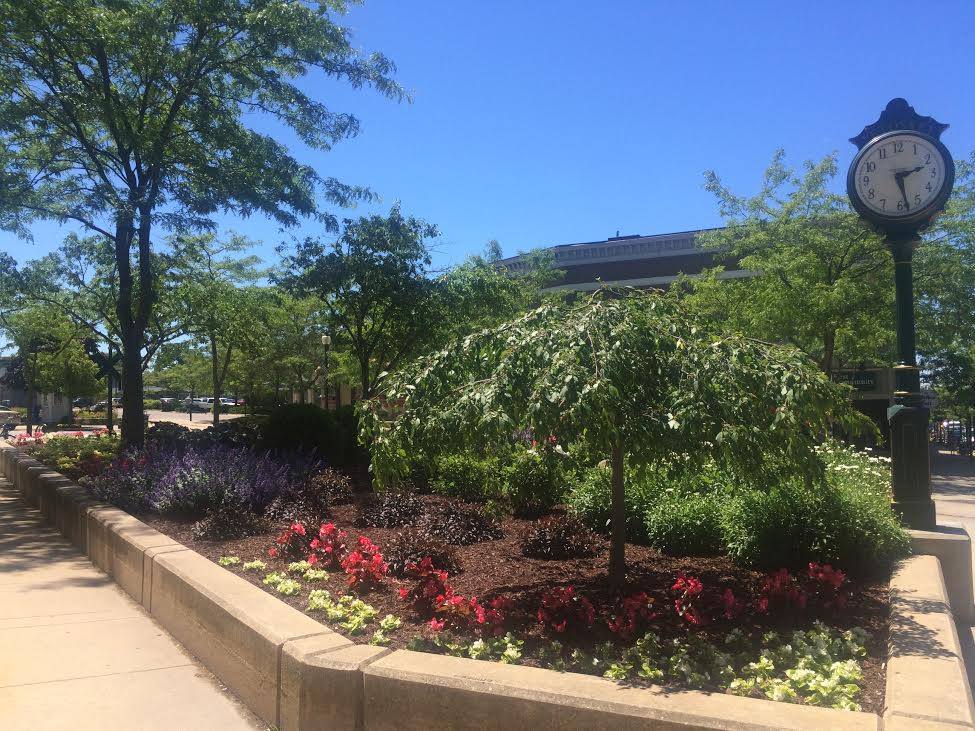 Garden by the Petoskey Garden Club near Penney's