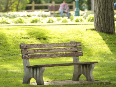 A bench in the park