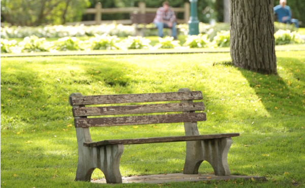 A bench in the park