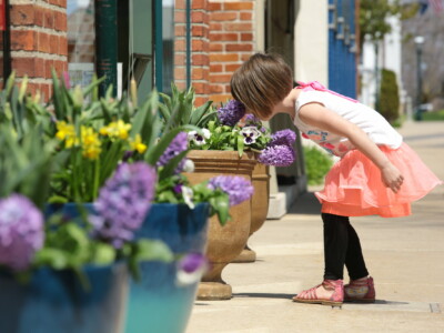 Summer in Petoskey