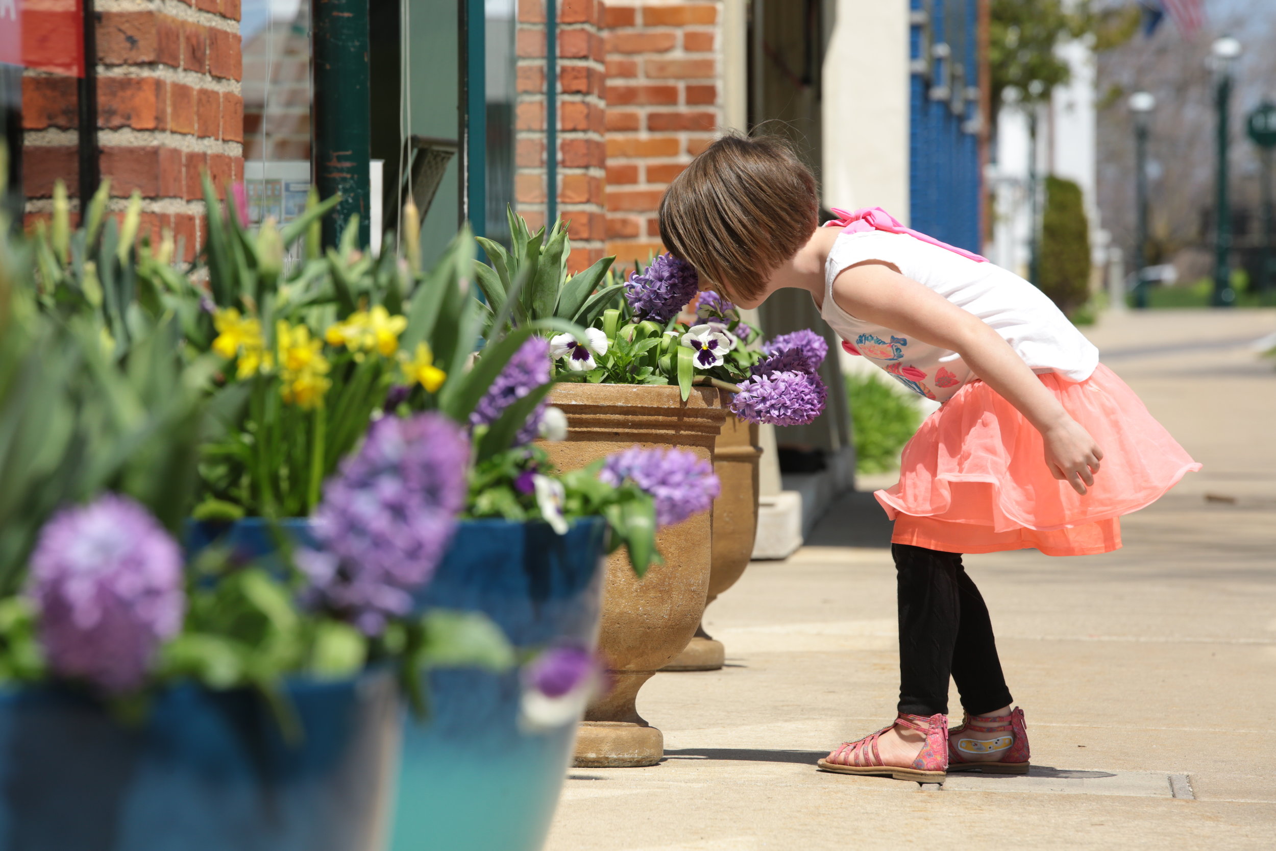 Summer in Petoskey