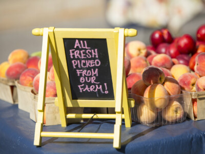 The Petoskey Farmers Market in September