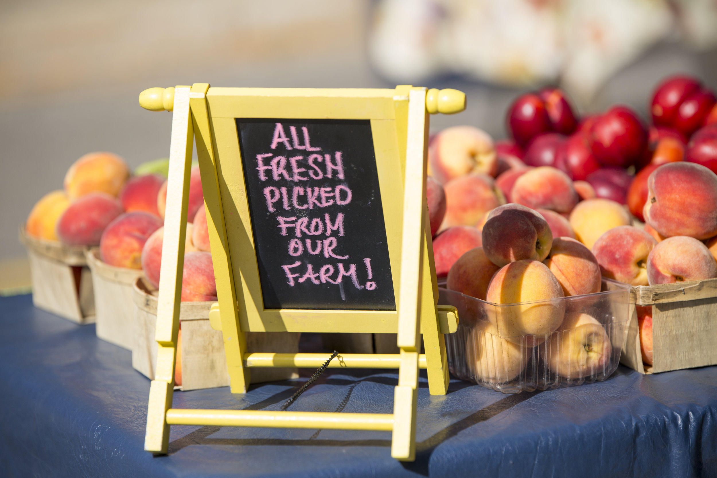 The Petoskey Farmers Market in September