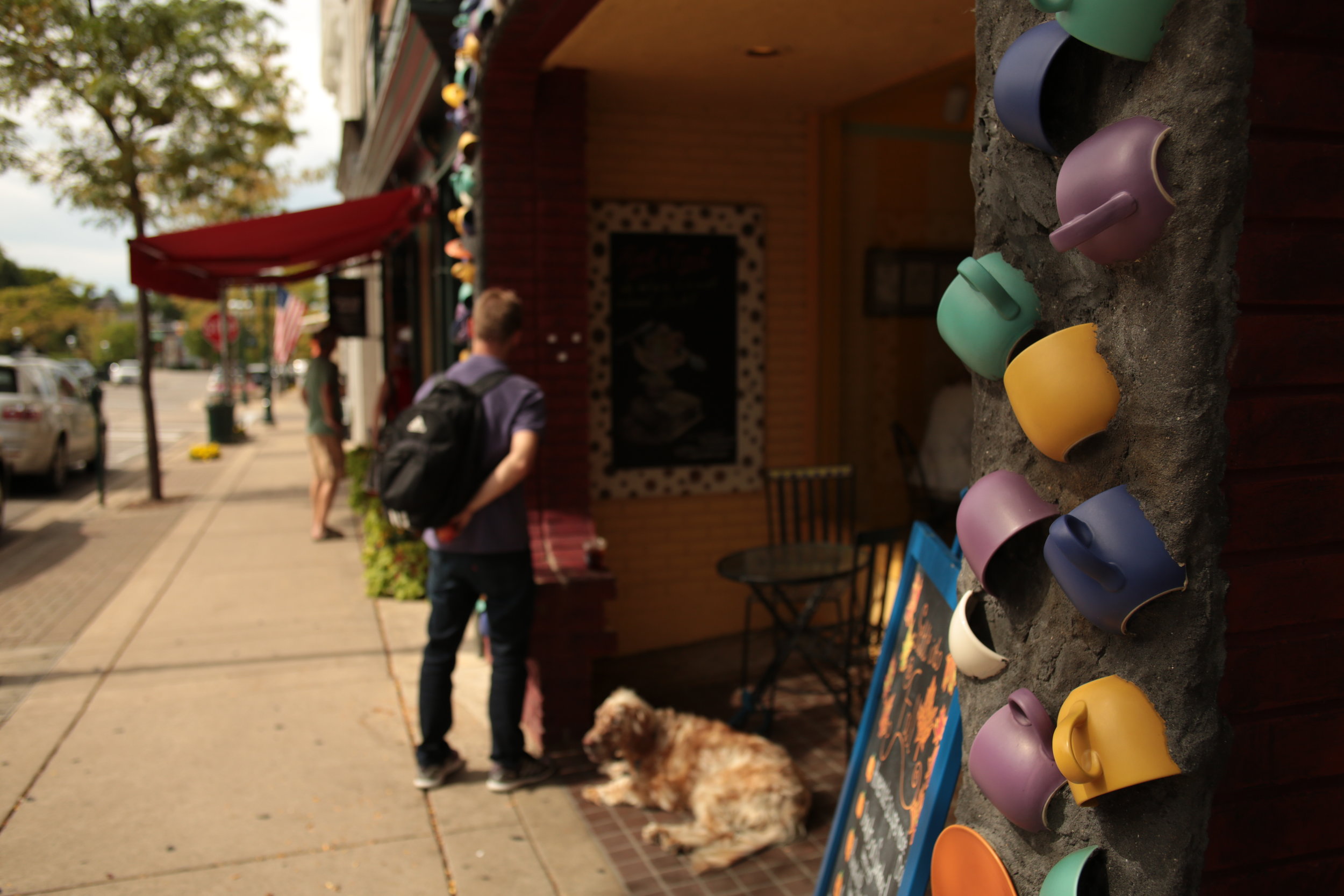 Transition to Fall in Downtown Petoskey