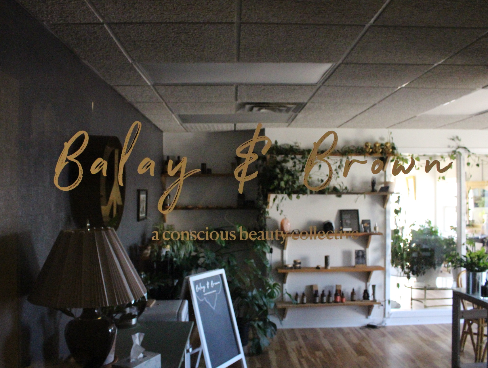 balay-brown-salon-downtown-petoskey