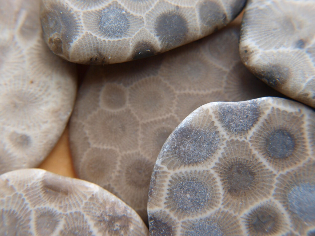 Hi Res Petoskey Stones