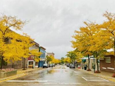 Howard Street in the Fall. Color Change