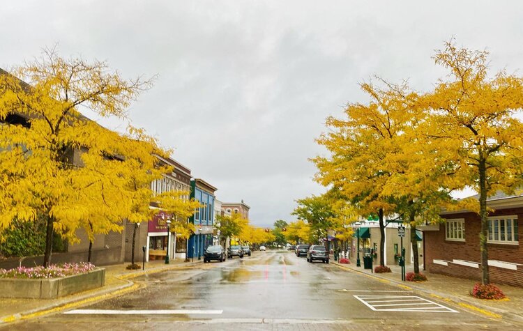 Howard Street in the Fall. Color Change