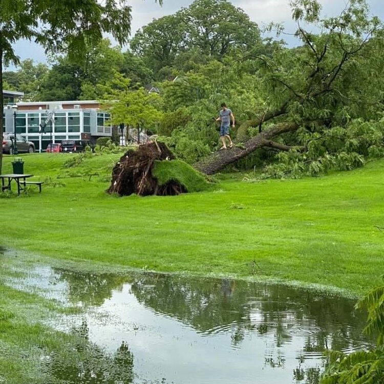 Pensylvannia park after a sorm