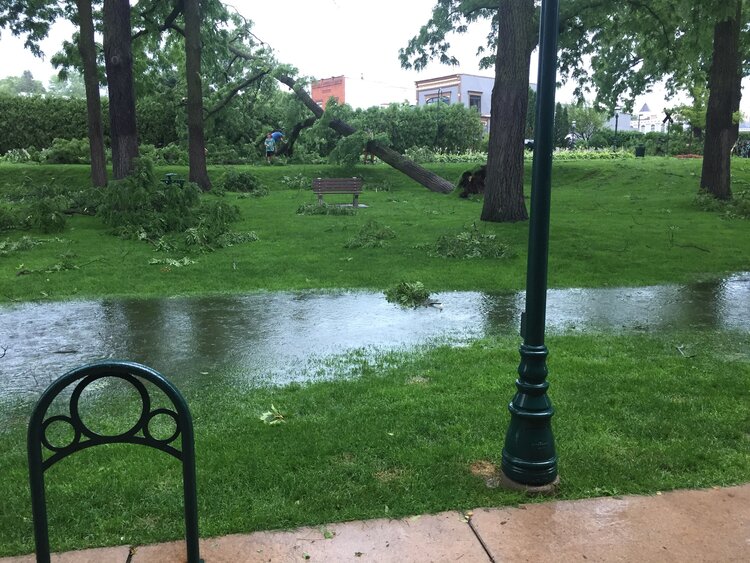 Pennsylvania Park after a storm