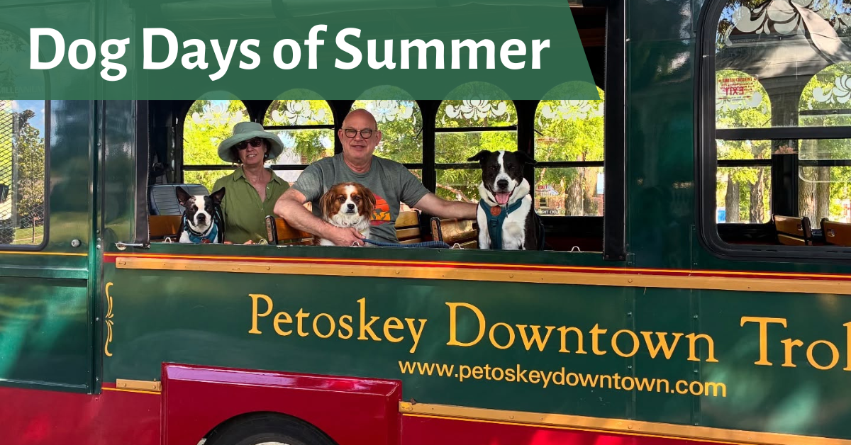Dog Days of Summer